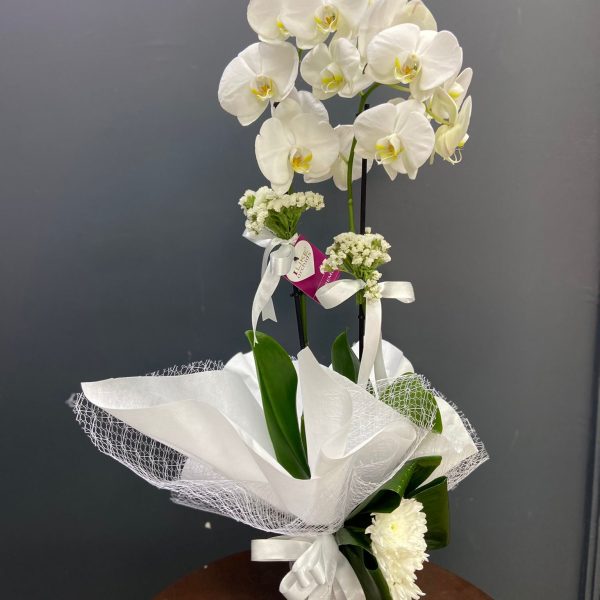 öğretmenler günü 2025