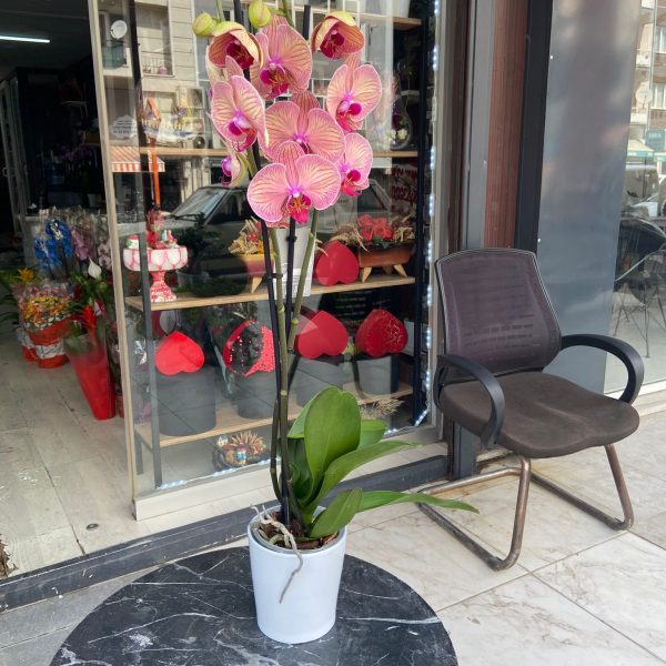 öğretmenler günü 2025.jpg (10)