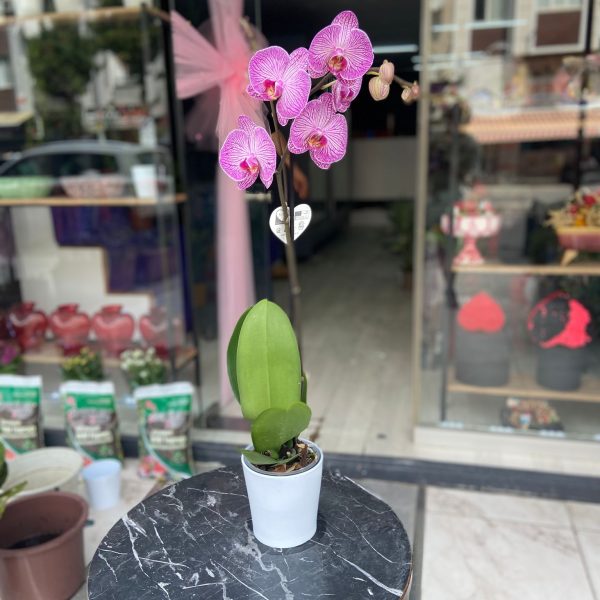 öğretmenler günü 2025.jpg (11)