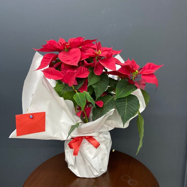 öğretmenler günü 2025.jpg (12)