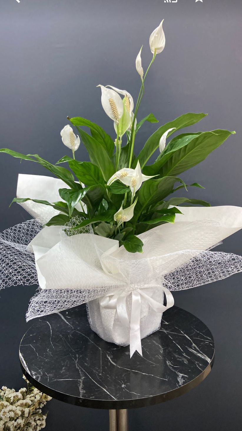 öğretmenler günü 2025.jpg (16)