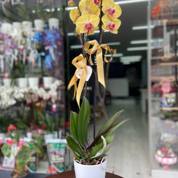 öğretmenler günü 2025.jpg (17)