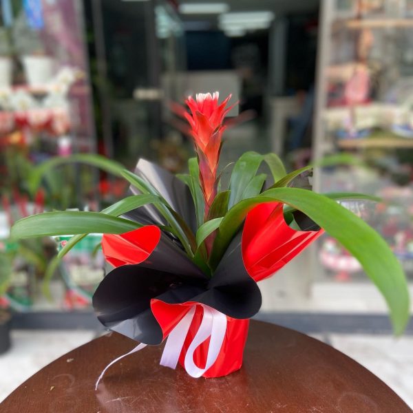 öğretmenler günü 2025.jpg (18)