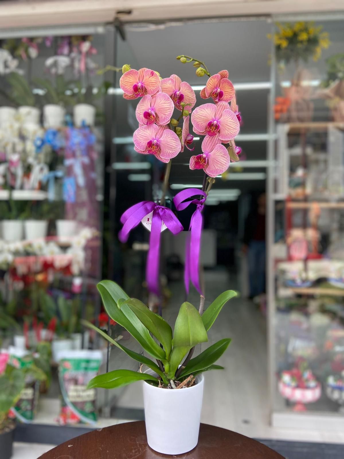 öğretmenler günü 2025.jpg (20)