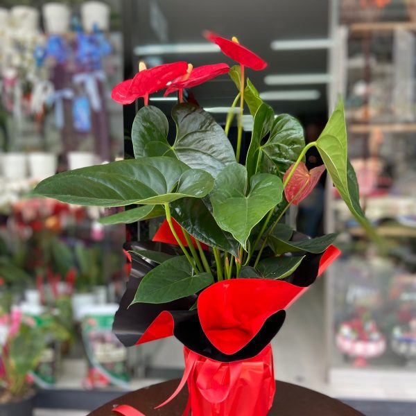 öğretmenler günü 2025.jpg (23)