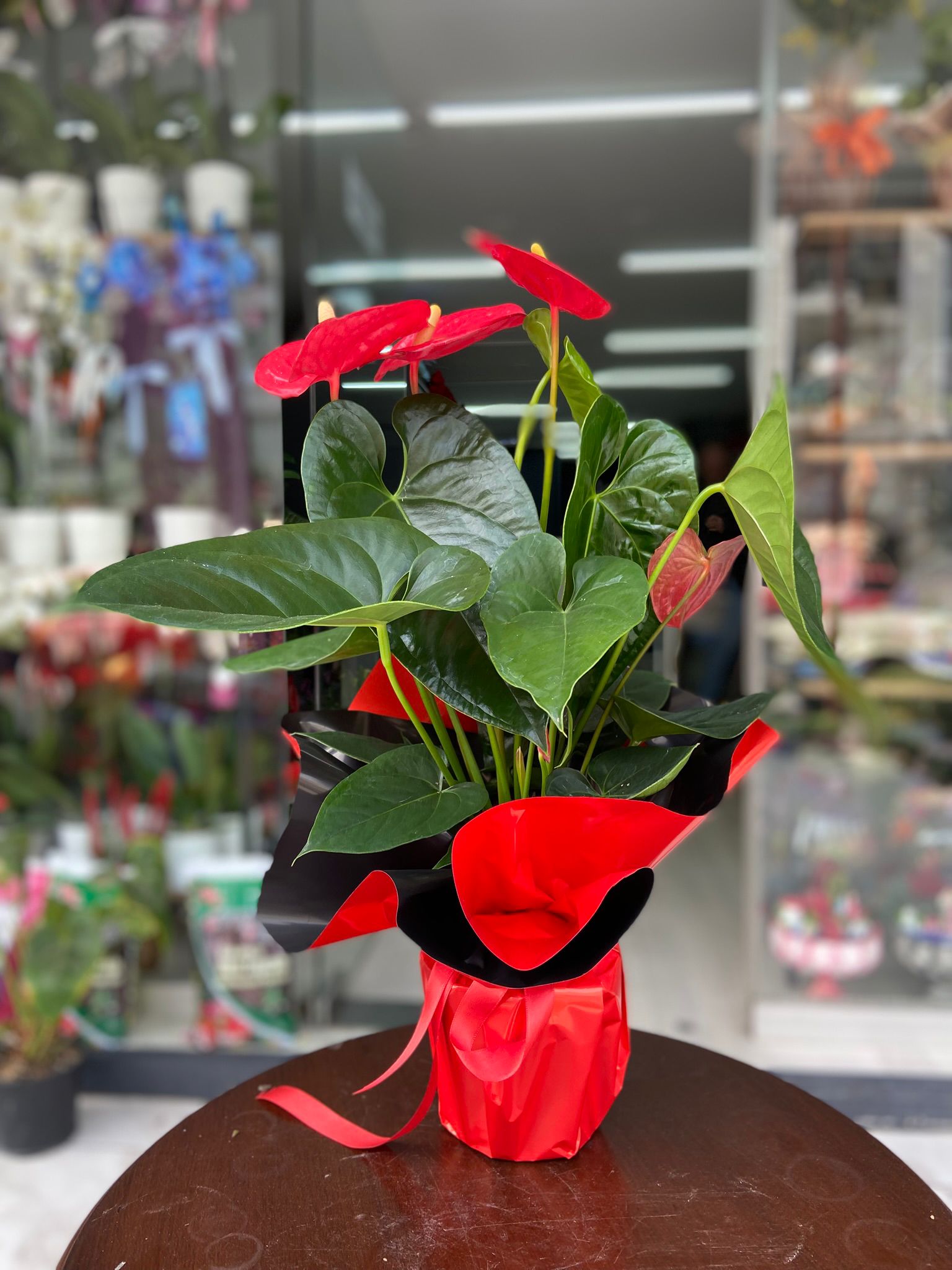 öğretmenler günü 2025.jpg (23)