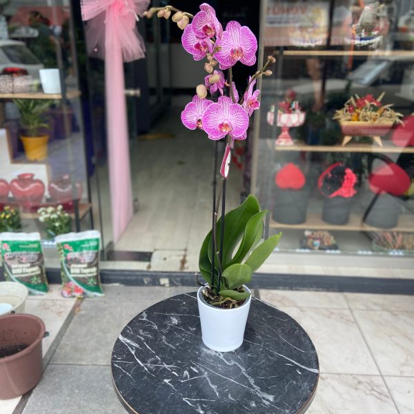 öğretmenler günü 2025.jpg (24)